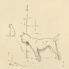 The dog that worried the cat