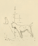 The dog that worried the cat