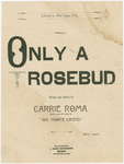 Only a rosebud