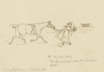 The horse and woman