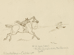 The fox rides the horse