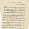 The pretty widow