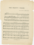 The pretty widow