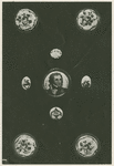 Portraits, bust
