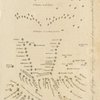 Battle of Trafalgar