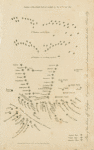 Battle of Trafalgar