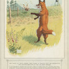 The tales of Uncle Remus : Brer Rabbit is thrown into the briar-patch and outwits Brer Fox in the Tar Baby episode.
