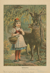 Rotkäppchen.