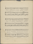 I want a nice young man