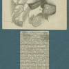 Josephine and Maria Louisa...