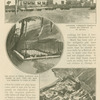 The Briars and Longwood, residences at Saint Helena