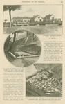 The Briars and Longwood, residences at Saint Helena