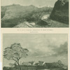 The Briars and Longwood, residences at Saint Helena