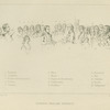 Proclamation as emperor & coronation, 1804--05