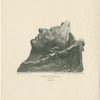 Death masks