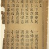 Xing shi wen