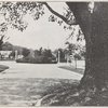Ridgewood: A High-Grade Suburban Development in a Small City; Springfield, Ohio