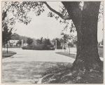 Ridgewood: A High-Grade Suburban Development in a Small City; Springfield, Ohio