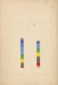 A treatise on the forces which produce the organization of plants 