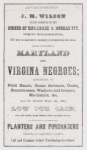 Advertisement from J.M. Wilson for sale of Maryland and Virginia Negroes