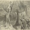 A rebel treed. Arrest of rebel officer Lt. H. J. Segal of the insurgent army near Falls Church by Lt. Col. Winslow and Capt. Shattuck of the N.Y. 37th regiment