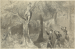 A rebel treed. Arrest of rebel officer Lt. H. J. Segal of the insurgent army near Falls Church by Lt. Col. Winslow and Capt. Shattuck of the N.Y. 37th regiment
