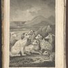 Biography of a Spaniel
