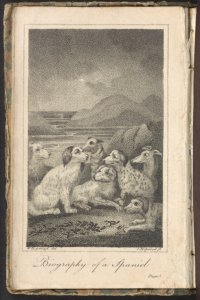 Biography of a spaniel : to which is annexed The idiot, a tale