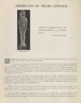 Americans of Negro Lineage
