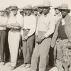 Cotton pickers of diverse ethnicities striking in solidarity