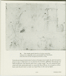 The worlds of Washington Irving, 1783-1859.