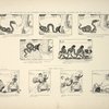 The uneducated boa and Professor Stuffer's electrical contrivance. - Another case to look before you leap; Haste makes waste