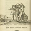 The boys and the frogs