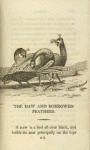 The daw and borrowed feathers