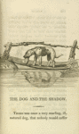 The dog and the shadow
