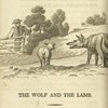 The wolf and the lamb