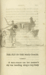 The fly in the mail-coach