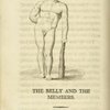 The belly and the members