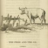 The frog and the ox