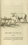 The frog and the ox