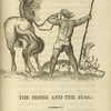 The horse and the stag