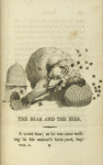 The bear and the bees