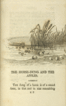 The horse-dung and the apples