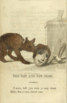 The fox and the mask