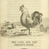 The cock and the precious stone