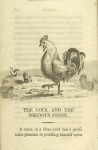 The cock and the precious stone