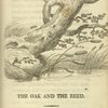 The oak and the reed