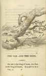 The oak and the reed
