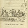 The fox without a tail