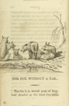 The fox without a tail
